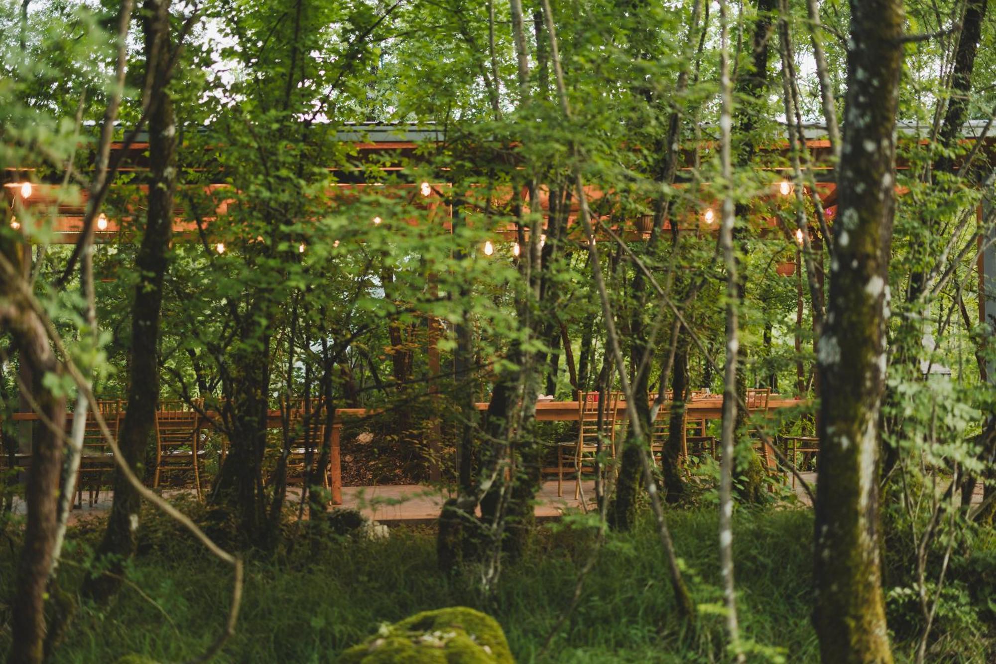 Vukova Dolina Apartments Cetinje Extérieur photo